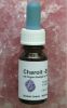 Edelstein-Elixier "Charoit"