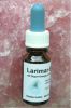 Edelstein-Elixier "Larimar"
