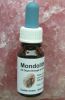 Edelstein-Elixier "Mondolith"