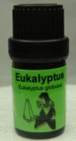Eukalyptus globulus