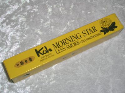 Koh Monrning Star chrysanthemum