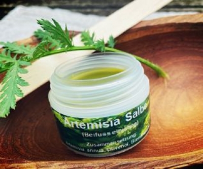 ARTEMISIA ANNUA SALBE HERSTELLEN
