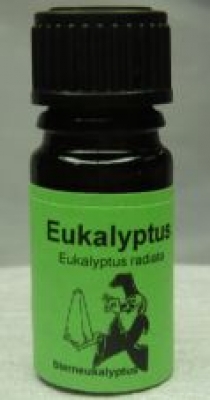 Eukalyptus radiata