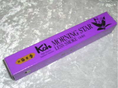 Koh Monrning Star violet