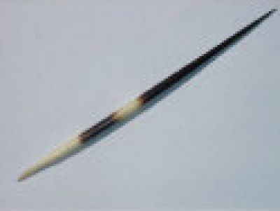 Stachelschweinborste